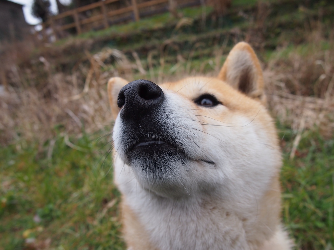 开云APP-当新世界地图展开，新西兰的草莽英雄与NBA的总决赛幽灵