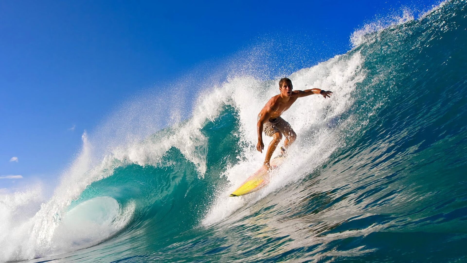 利拉德掀翻北境！39分三分雨淹没猛龙，广厦队淘汰赛挺进的巨星答案
